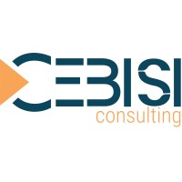 Cebisi Consulting logo - Similar company to Elevate Recruitment Ltd
