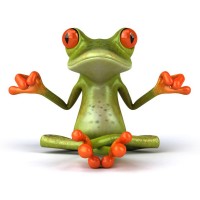 Big Frog Custom T-Shirts & More Of Avon