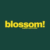 Blossom Energy Solutions logo - Similar company to Blossom Energy, Inc.