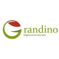 Grandino logo - Similar company to Solid Food Quinoa