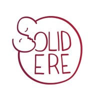 Solid'ère logo - Similar company to Usagi World Co.