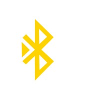 WYZth logo - Similar company to Byte Brilliance