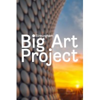 Birmingham Big Art Foundation logo - Similar company to The Orchid Society Of Great Britain