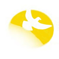 Support Systems Homes logo - Similar company to Evolibri Consulting