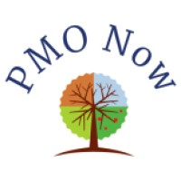 PMO Now logo - Similar company to Pmoga - Pmo Global Alliance