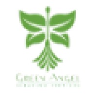 Green Angel Cleaning Services logo - Similar company to Green Cleaning Support Services Ltd
