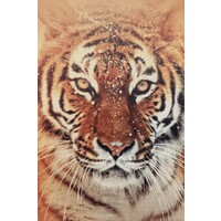 Time Petroleum Limited logo - Similar company to Remus Logistics