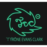 TYRONE EVANS CLARK Incorporation logo - Similar company to Fidelity Flight Simulation Incorporated