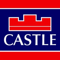 Castle Estate Agents Dublin logo - Similar company to Only Audit