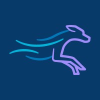 4Dvets AG logo - Similar company to Parkactive