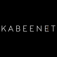 Kabeenet logo - Similar company to Ves