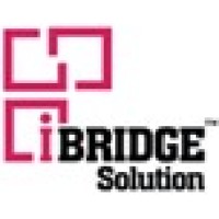 IBridgeSolution logo - Similar company to Vetting Solutions