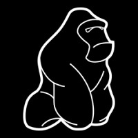 Junglelink logo - Similar company to Tyler Italia