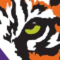 Tigervision logo - Similar company to Iabc/Sc