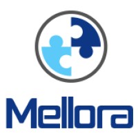 Mellora AS logo - Similar company to Asn Technology India