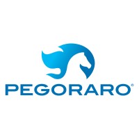PEGORARO GAS TECHNOLOGIES SRL logo - Similar company to Delta Engineering Srl
