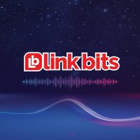 Link Bits Oficial logo - Similar company to Linkbits.Io