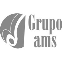 Grupo_AMS logo - Similar company to Farquitec