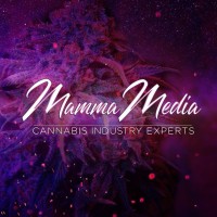 Mamma Media