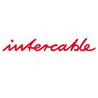 Intercable Group logo - Similar company to Intercable Automotive Solutions