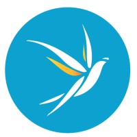 Fly Goldfinch logo - Similar company to Blue Jay Travel Services Pv..