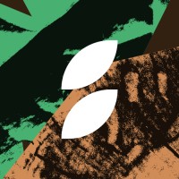 The.Storybranch logo - Similar company to Marcel Olivé