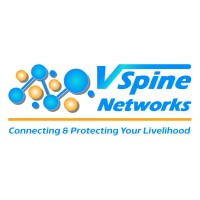 VSpine Networks & Advisors, LLC logo - Similar company to Stiles Cfo Services