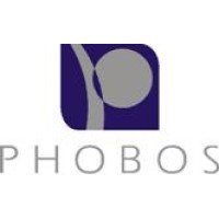 Phobos Tecnologia logo - Similar company to Webnexus