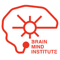 EPFL Brain Mind Institute logo - Similar company to Epfl School Of Computer And Communication Sciences