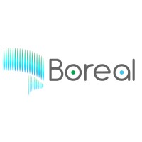 Boreal - Consulting4Success SpA logo - Similar company to Gestioncar