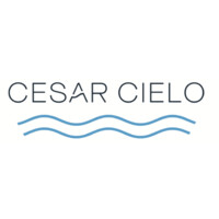 Cielo e Cielo logo - Similar company to Instituto Cesar Cielo