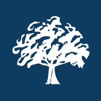 Carson Capital logo - Similar company to Stream_Internet