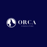 Orca Consulting logo - Similar company to Orca Intelligence