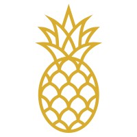 Piña Innovations logo - Similar company to Foolen Automation