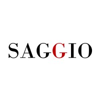 Saggio Technology logo - Similar company to Saggio, Llc
