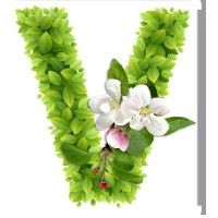 VAGAS DE EMPREGOS logo - Similar company to Fugenband