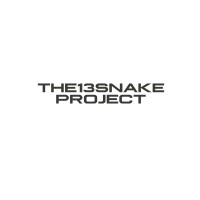 The 13 Snake Project logo - Similar company to Become Group