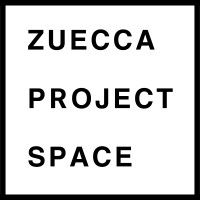 Zuecca Projects logo - Similar company to Dome Projects Limited