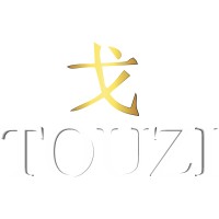 Touzi Group logo - Similar company to Touzi Capital