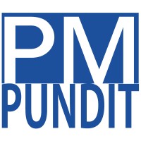 PM Pundit LLC logo - Similar company to Project Solvers
