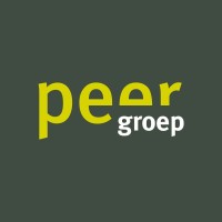 Peer Groep | Civiele Techniek logo - Similar company to Nb2N Bv
