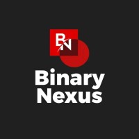 Binary Nexus International logo - Similar company to Ambas International