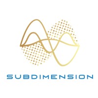 SubDimension logo - Similar company to Vocean Ltd - Rov Control System Upgrades