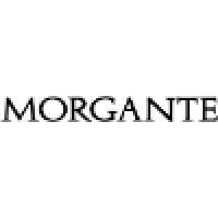 MORGANTE logo - Similar company to Ivy School