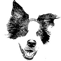 MLTT Consulting logo - Similar company to Cj Ignition