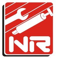 Nelson Reis logo - Similar company to Tbe Ireland