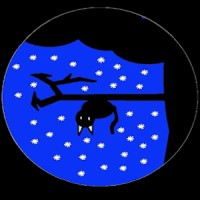 Videos, Vocals, And Adventures