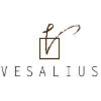 Vesalius SL logo - Similar company to Hospital Comarcal De Móra D'Ebre