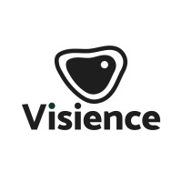 Visience logo - Similar company to Deosebit Soft