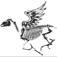 Dead Horse Branding logo - Similar company to Ami Marketing - American Mail And Insert